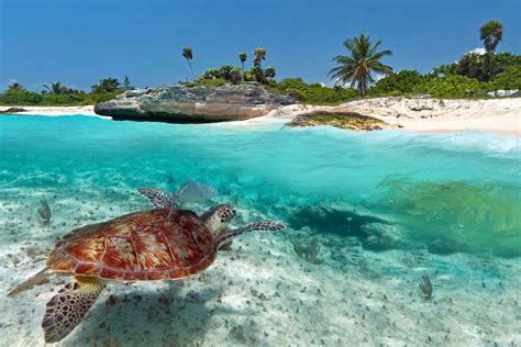 Bahamas Fishing Charters, Island Excursions & Snorkeling.